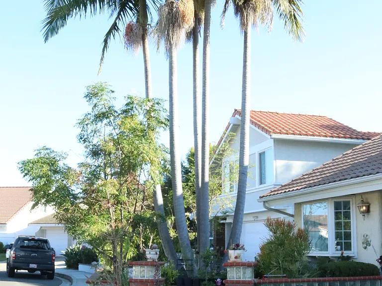 26524 Avenida Veronica — Photo 26