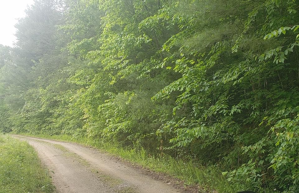 2nd image of Cedar Ridge Rd