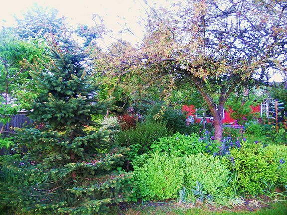 northside gardens