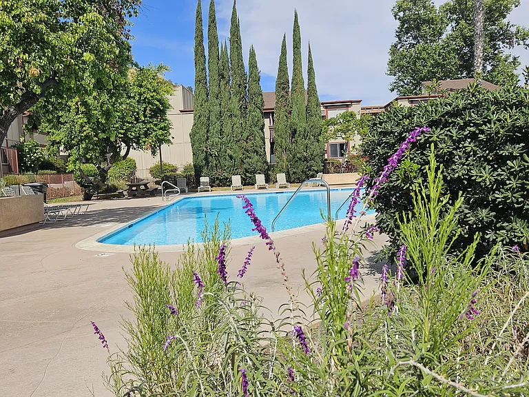 Main pool