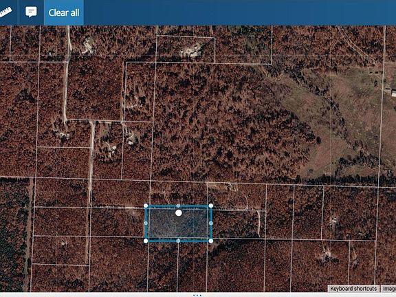 5th image of Homestead Trl