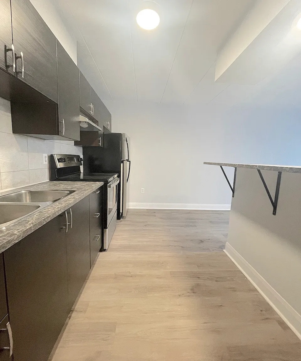 1 bed, $1,181 — Photo 4