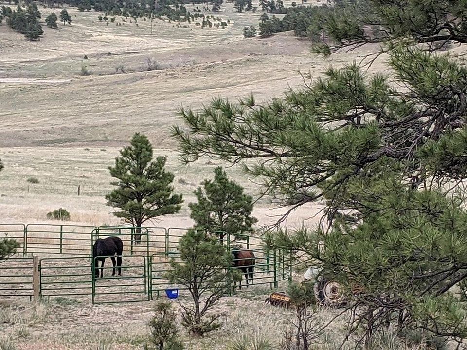 40474 Gold Nugget Dr, Deer Trail, CO 80105 MLS 8466712 Zillow