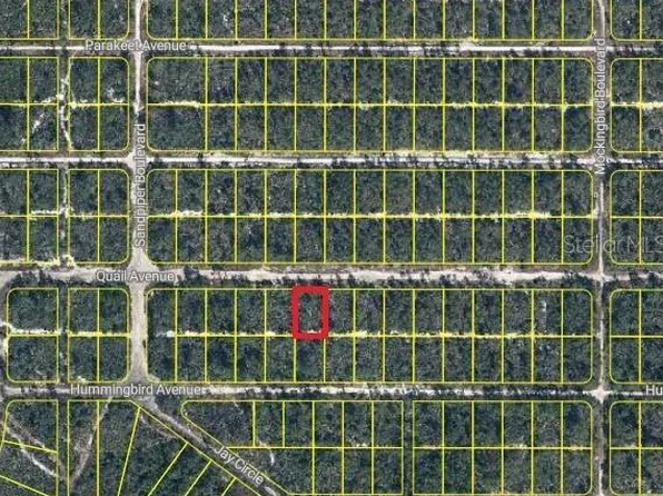 637 Quail Ave Lot 6, Sebring, FL 33872