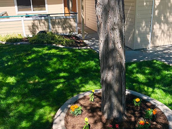 Newly planted flowers 