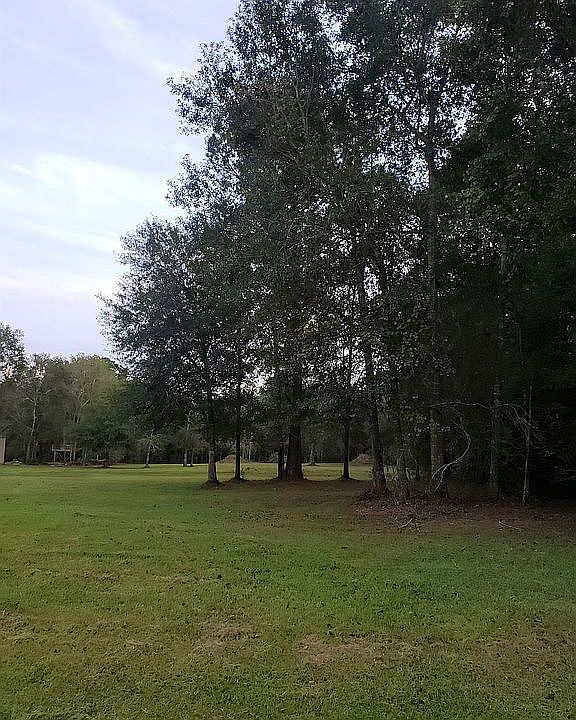 1st image of 11310 Cole Dr