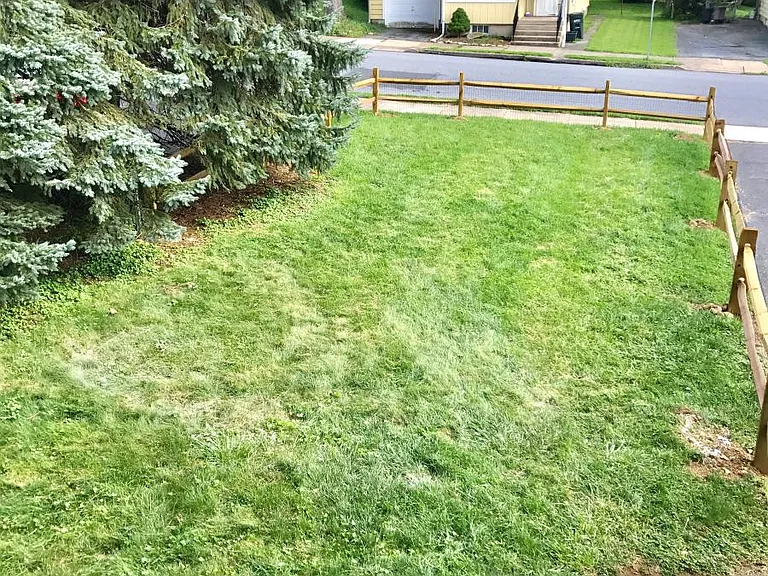 Large Fenced in Yard