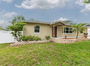 207 E Chester St, Minneola, FL 34715