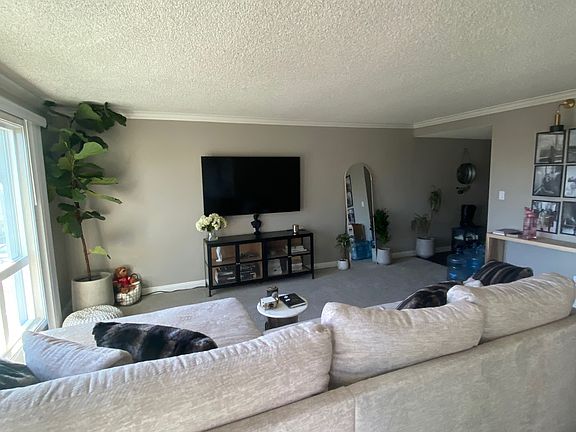 Living Area full view