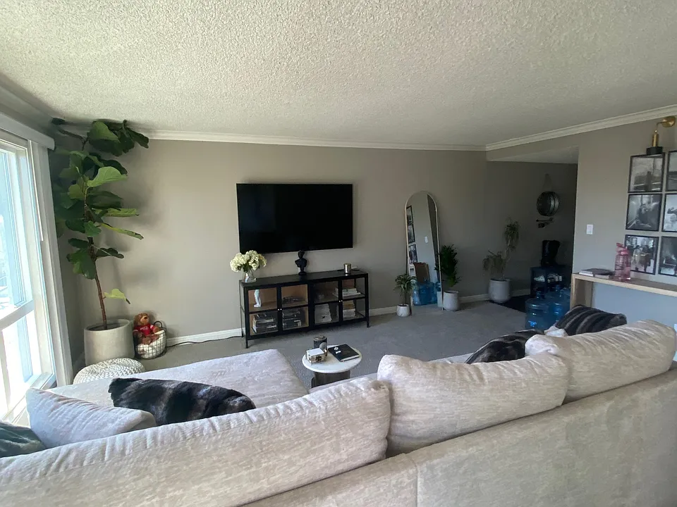 Living Area full view