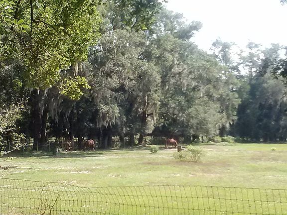 Back Pasture