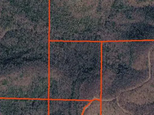 001-00411 Mallard Ter Tract 5, Yellville, AR 72687