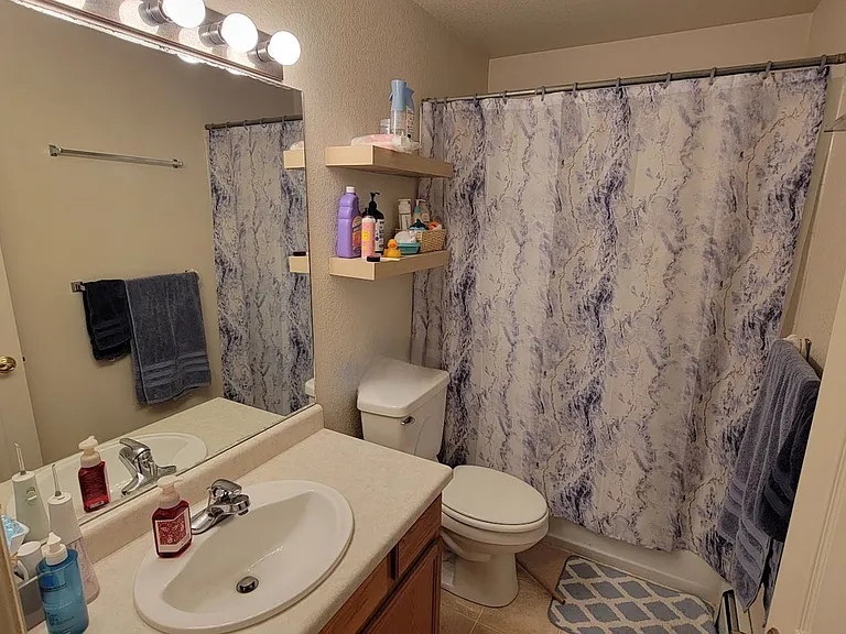 433 Mountainside Ln — Photo 2