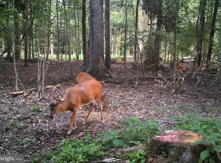 Fox Meadow Rd, Queen Anne, MD 21657