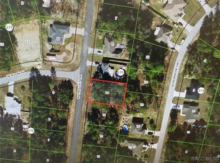 8271 N Tiny Lily Dr, Citrus Springs, FL 34434