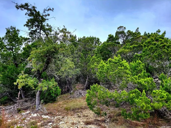 171 Appaloosa Dr LOT 134, Fischer, TX 78623