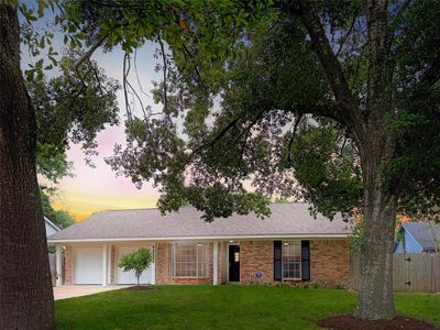 7323 Tall Pines Drive, Houston, TX, 77088