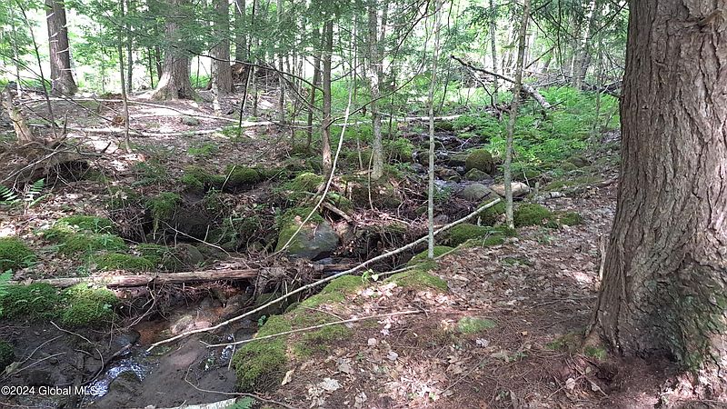 4th image of L 26.112 Jackson Summit Road