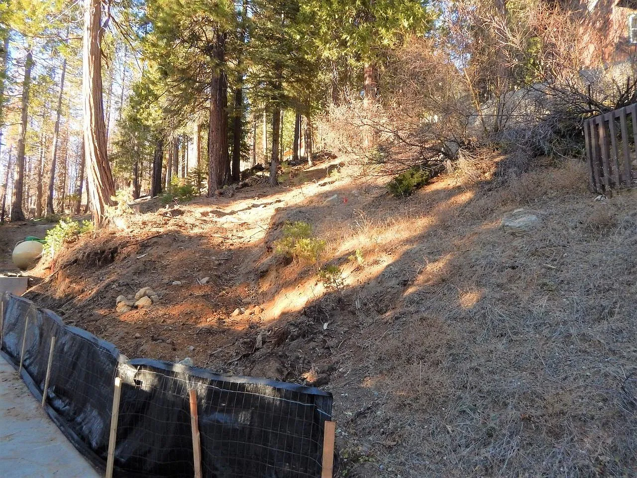 7163 Yosemite Park Way photo 1