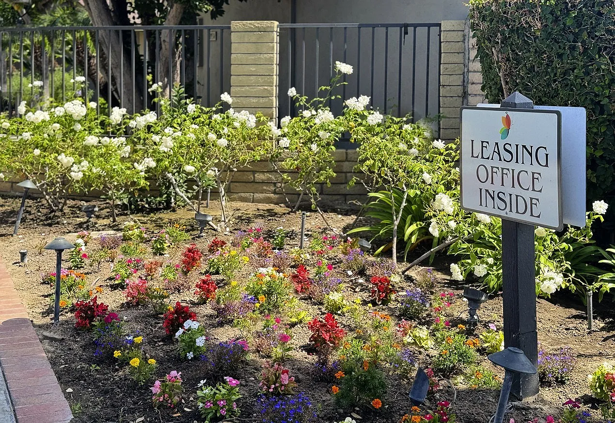 Orange Tree Apartments — Photo 4