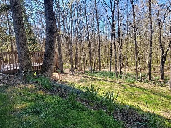 5th image of 323 Kelford Ln