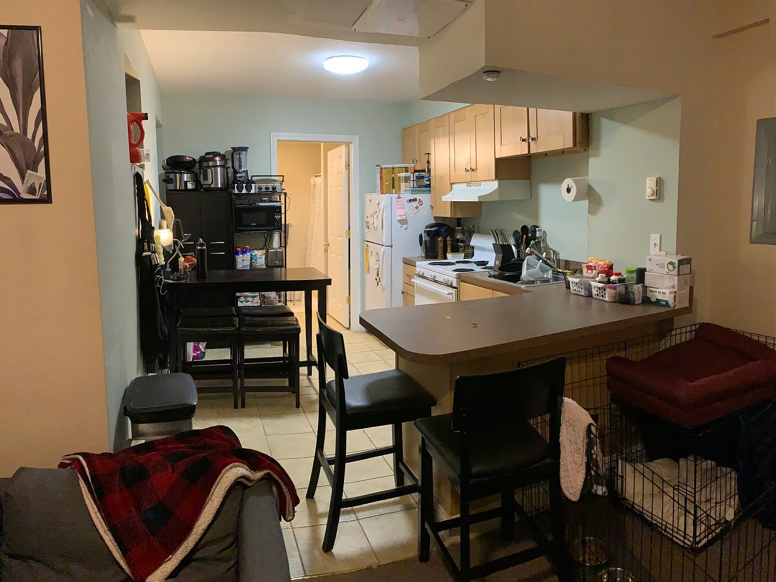 1 bed, 650 sqft, $2,600 — Photo 2