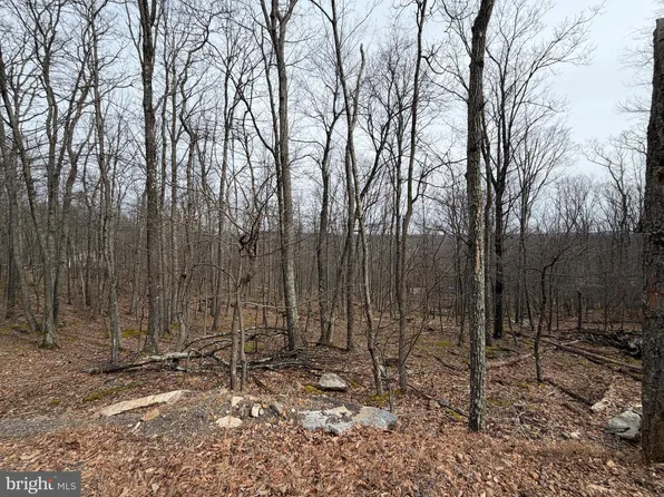 135 Spring Mountain Dr, Zion Grove, PA 17985