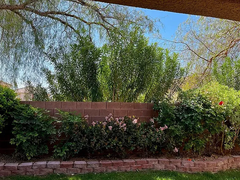11091 Zarod Rd — Photo 9