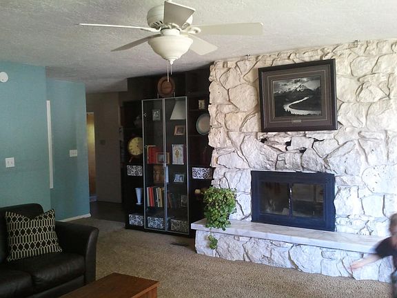 Fireplace and bookcase in living room