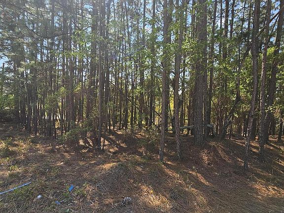 3rd image of LOT-11A Summer Place Dr