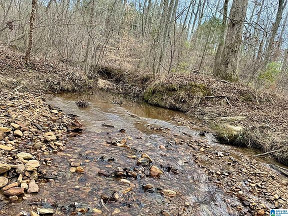 2nd image of 1186 County Road 481 #0