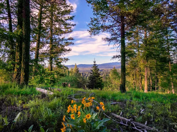 PARCEL Two Harris Creek Rd, Placerville, ID 83666