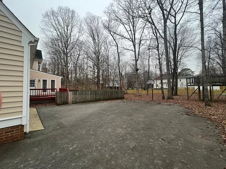 Photo of the backyard from the driveway
