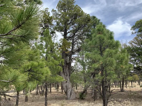 2399 Pine Crest Dr, Happy Jack, AZ 86024