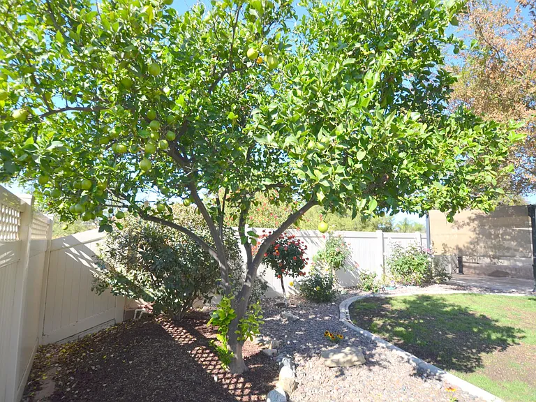 25487 Marvin Gardens Way — Photo 30