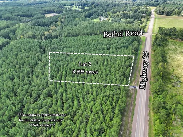 LOT 2 Bethel Rd, Franklinton, LA 70438