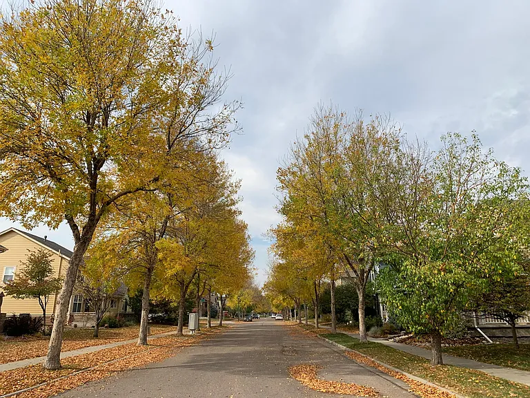 2756 Autumn Harvest Way — Photo 2