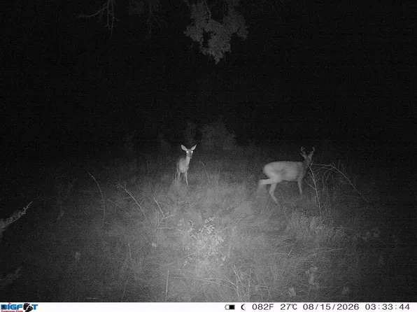 0 Fm 1241, Hamilton, TX 76531