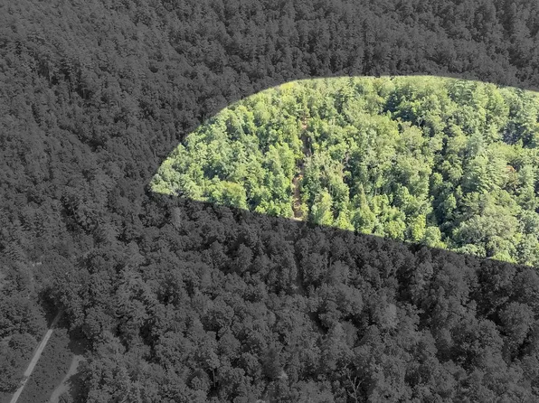 N/a Walking Stick Rd, Clayton, GA 30525