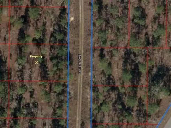 1010 NE 151 ST AVENUE NE LOT 10, WILLISTON, FL 32696