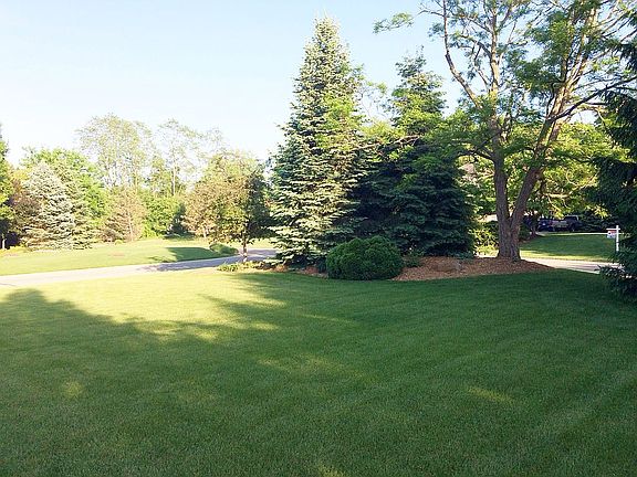 Side yard
