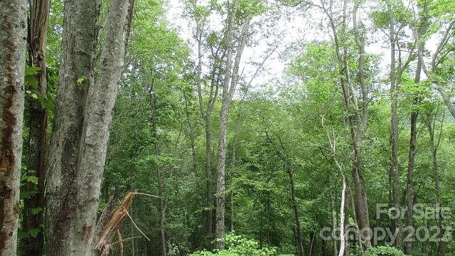 2nd image of 37 Deeplow Gap Rd