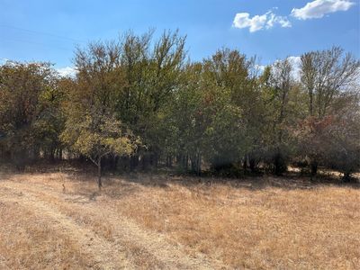 994 County Road 1180, Decatur, TX, 76234