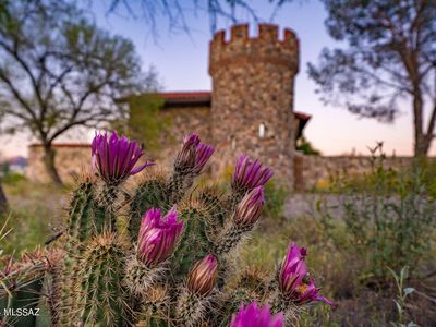 3850 W Sweetwater Dr, Pima County, AZ, 85745