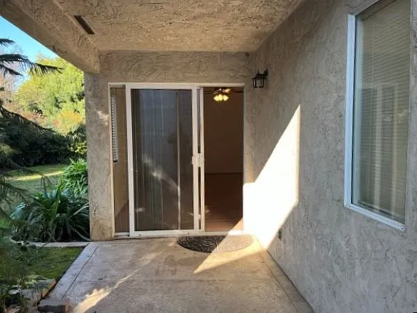 Back Patio