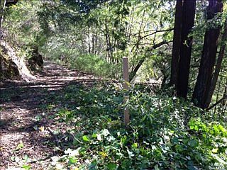 4th image of 15940 Morningside Dr