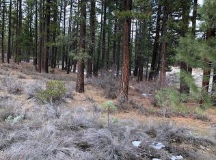 Lake Davis Rd, Portola, CA 96122