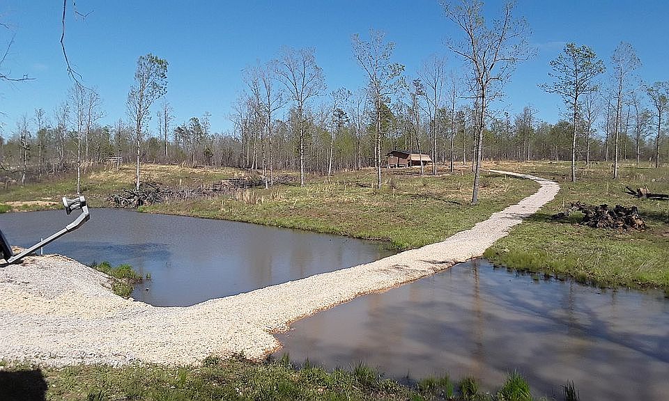 Pond and Pasture
