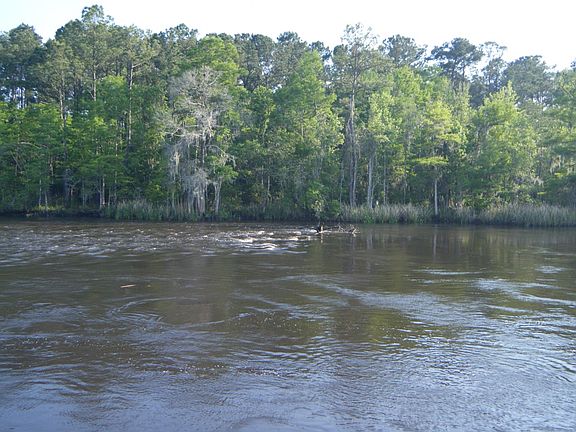 2nd image of Greenwood Plantation #21