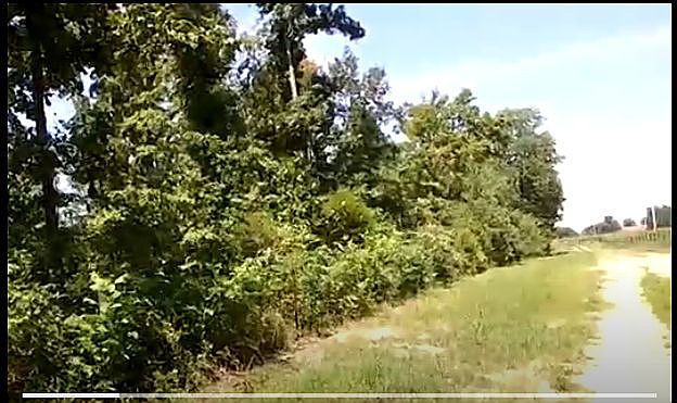 1st image of Daisy Circle Rd